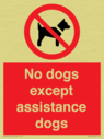 no-dogs-except-assistance-dogs~